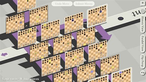 4d chess with multiverse time travel.